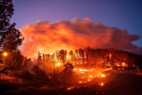 Con el incendio 'Park' inicia de forma temprana la temporada de siniestros forestales en California.