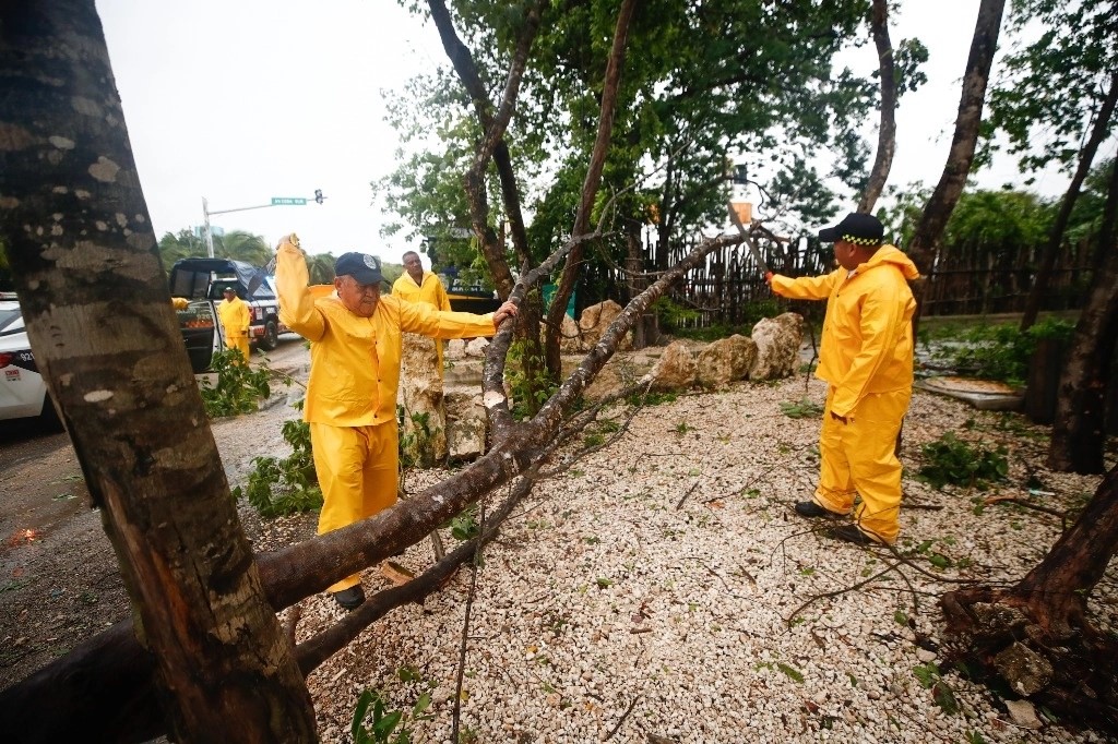 Afectaciones en el municipio de Tulúm, Quintana Roo tras el paso de 'Beryl'.