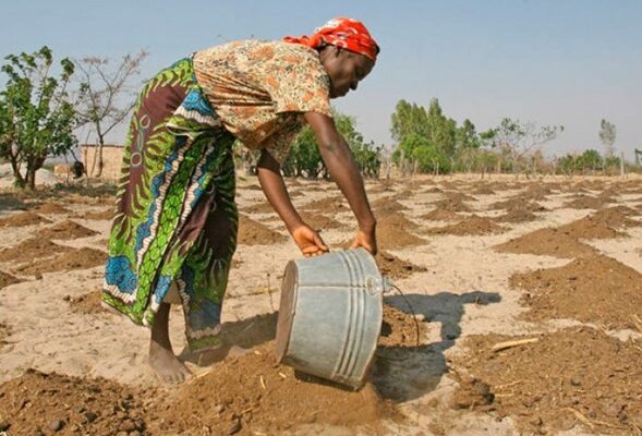 Los Jefes de Estado de la Comunidad de Desarrollo de África Meridional (SADC, por sus siglas en inglés), formada por 16 países, se reunieron en Harare, capital de Zimbabue, para debatir asuntos regionales como la seguridad alimentaria.