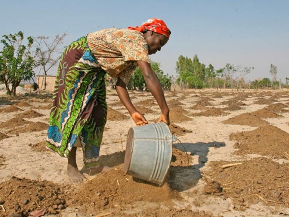 Los Jefes de Estado de la Comunidad de Desarrollo de África Meridional (SADC, por sus siglas en inglés), formada por 16 países, se reunieron en Harare, capital de Zimbabue, para debatir asuntos regionales como la seguridad alimentaria.