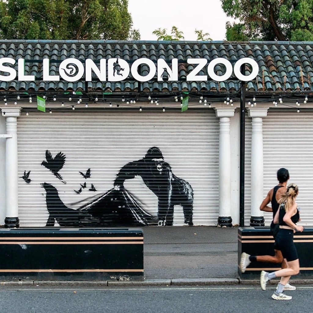 El gorila y otros animales que parecían haber escapado del Zoológico de Londres en la obra más reciente de Banksy ya se encuentran bajo resguardo. 