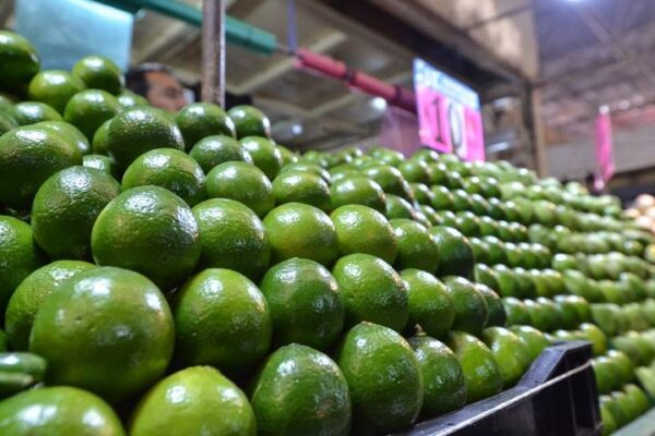 De 24 pesos aumentó casi el doble; en súper mercados casi alcanza los 50 pesos.