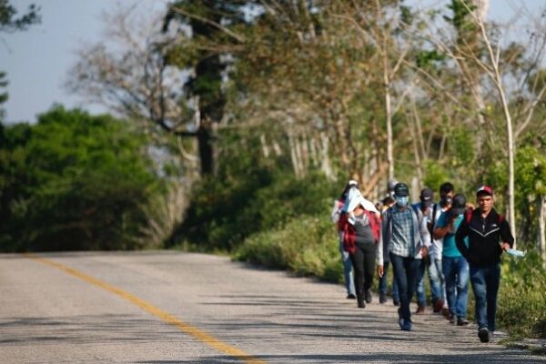 Migrantes se dirigen a la frontera norte.