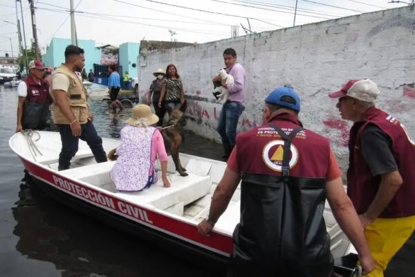 La gobernadora del Estado de México, maestra Delfina Gómez Álvarez, habilitó albergues e instruyó a brigadas de bienestar para proteger a animales tras inundaciones en Chalco. 