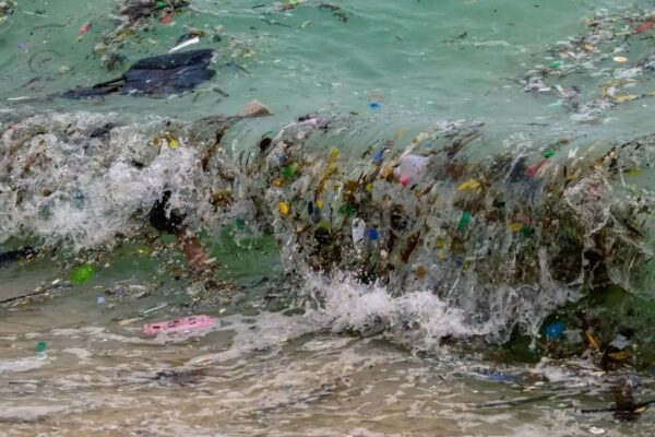 Según un nuevo informe, la ciencia ha proporcionado pruebas más que suficientes para fundamentar un enfoque colectivo y global para abordar la continua propagación de la contaminación por plástico. 