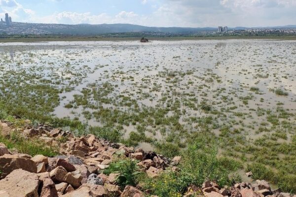 Al inicio del 2024, el vaso de captación estaba al 9.18 por ciento. El agua se perdió por evaporación e infiltración. 