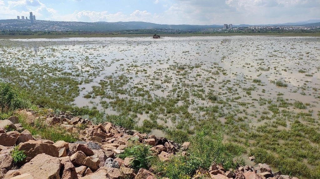 Al inicio del 2024, el vaso de captación estaba al 9.18 por ciento. El agua se perdió por evaporación e infiltración. 