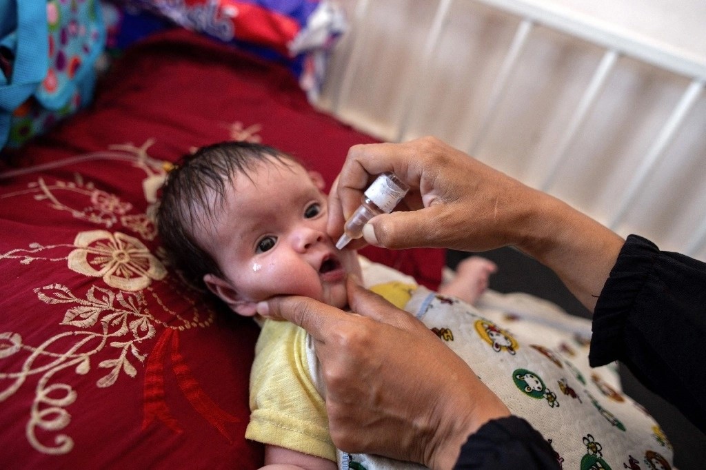 La meta de la OMS es inmunizar a 640 mil niños menores de 10 años para que el brote de polio no aumente ni salga de la frontera. La imagen, en Yan Junis. 