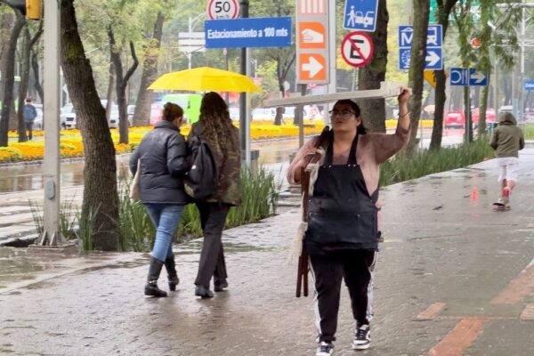 ONU-DH reconoce reformas a artículos constitucionales que fortalecen la protección de la igualdad sustantiva y promueve la participación de las mujeres en la vida pública. 