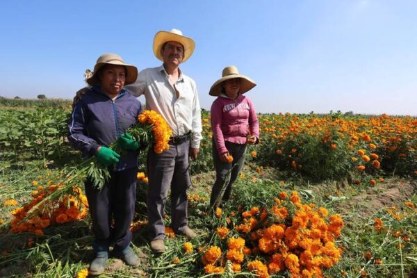 Productores piden un lugar para hacer venta directa.