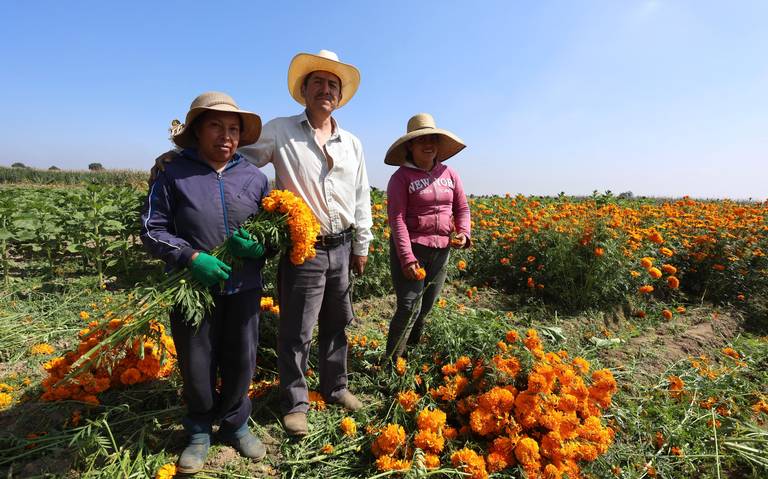 Productores piden un lugar para hacer venta directa.