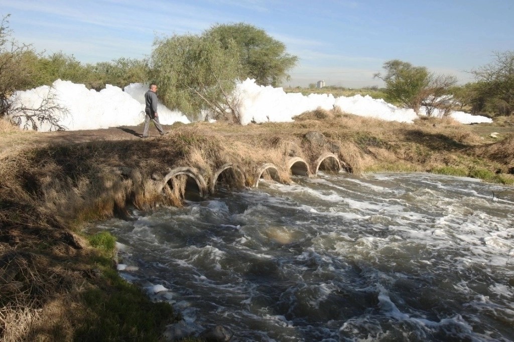 En un estudio que académicos realizaron con ratones, a los que les dieron a beber agua de tramos del río Santiago, donde es más evidente la contaminación, detectaron alteraciones en las células de sus riñones de los roedores.