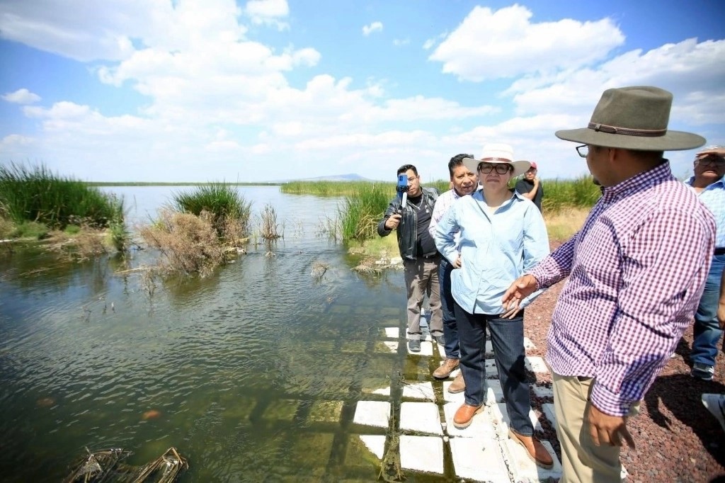 Autoridades de San Salvador Atenco y de Ecatepec acodaron impulsar proyectos como la creación de humedales. 