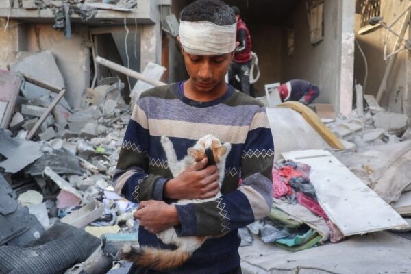 Un joven salva a un gato tras un bombardeo israelí en Nuseirat, en el centro de la Franja de Gaza, el 6 de diciembre de 2024.