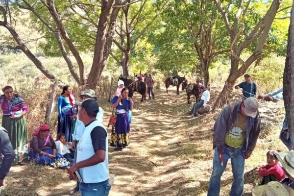 Un grupo de wixaritari llegó la mañana a Huajimic para tomar posesión de tierras ancestrales que estaban en posesión de pequeños propietarios o ganaderos de ese poblado nayarita. La restitución se hizo de forma pacífica.