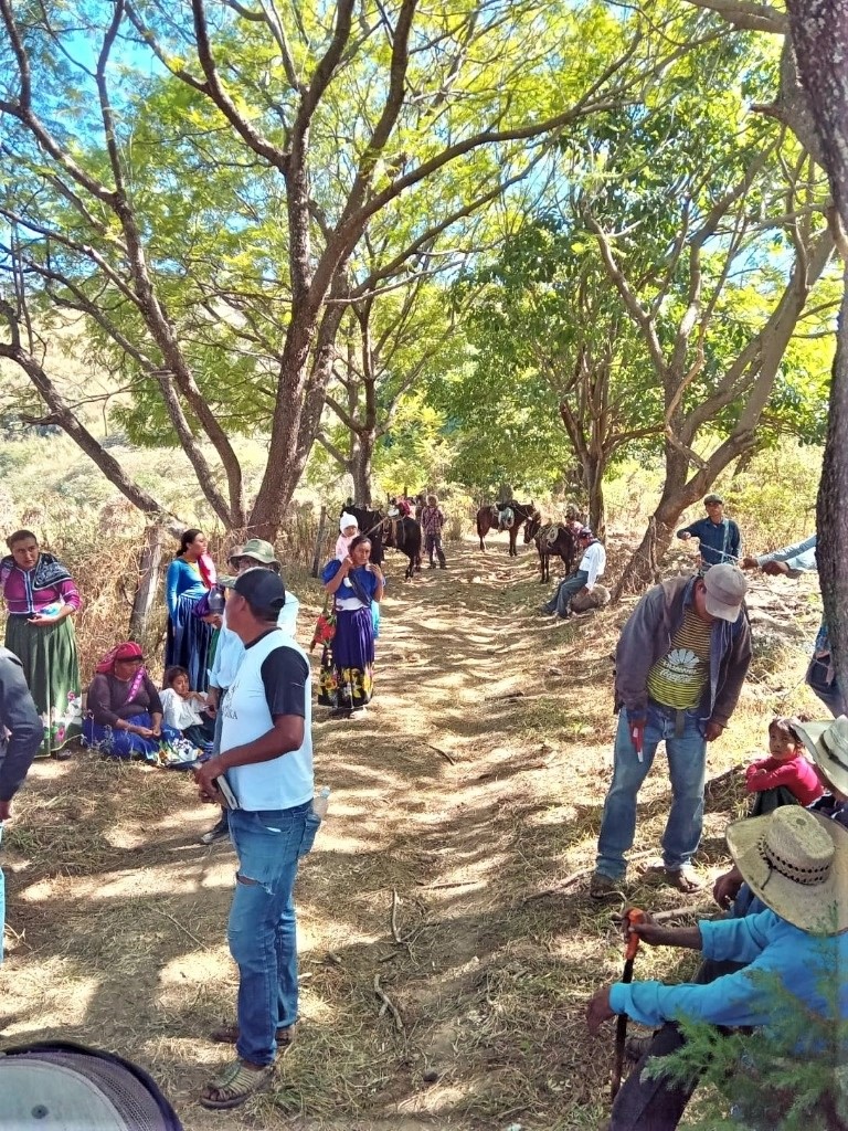 Un grupo de wixaritari llegó la mañana a Huajimic para tomar posesión de tierras ancestrales que estaban en posesión de pequeños propietarios o ganaderos de ese poblado nayarita. La restitución se hizo de forma pacífica.