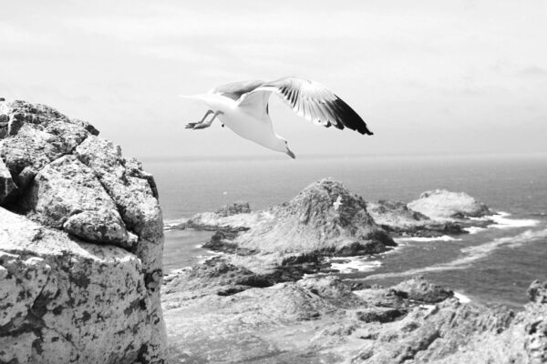 Las islas Galápagos son Patrimonio Natural de la Humanidad en el catálogo de la Unesco.