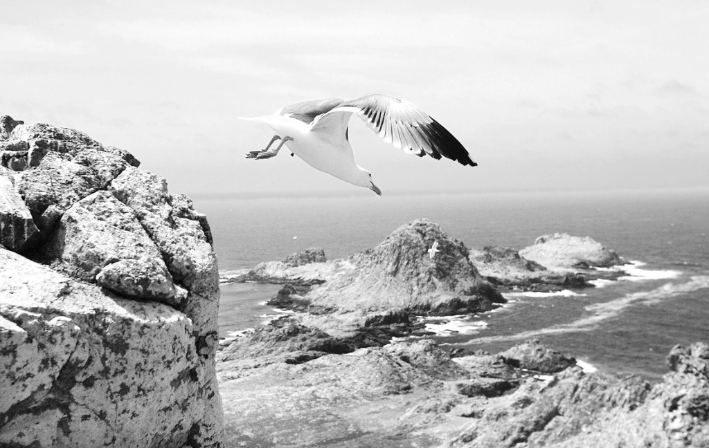 Las islas Galápagos son Patrimonio Natural de la Humanidad en el catálogo de la Unesco.