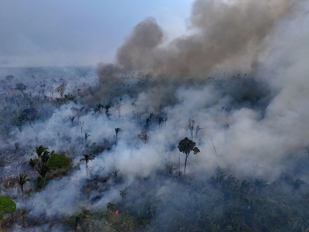 Vista aérea de un área de la selva amazónica deforestada por incendios ilegales en el municipio de Labrea, estado de Amazonas, Brasil, tomada el 04 de septiembre de 2024.