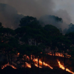 Protectora de Bosques del Estado de México emitió una alerta máxima; prevén aumento de casos de hasta 7% respecto a 2024