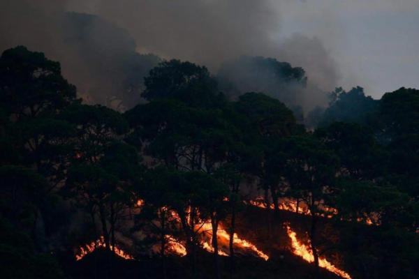 Protectora de Bosques del Estado de México emitió una alerta máxima; prevén aumento de casos de hasta 7% respecto a 2024