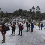 Las faldas del volcán Xinantécatl, estado de México, recibieron visitas de todo el país para disfrutar del paisaje nevado.