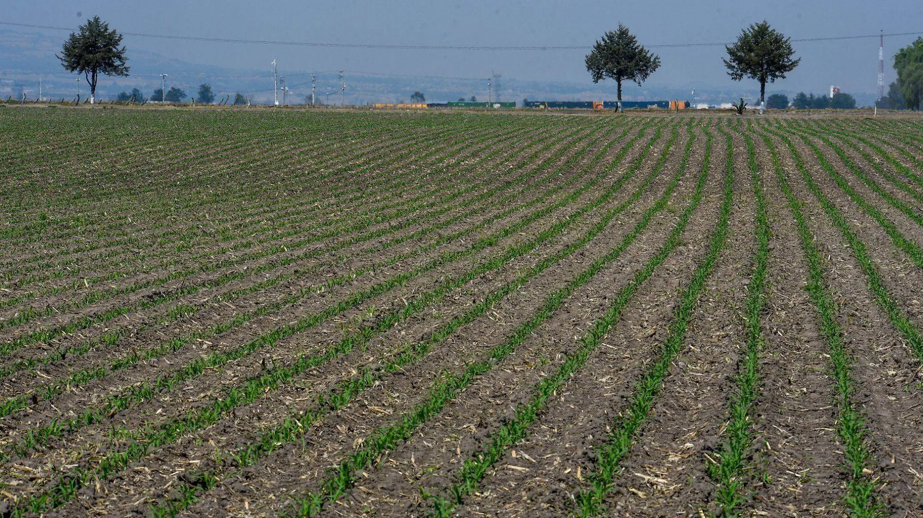 El agua para la actividad agrícola se encuentra entre el 75 y 85%