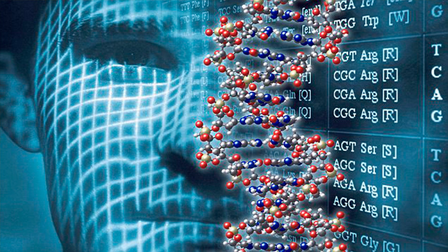 Gracias a los estudios moleculares y de patología, actualmente se puede saber qué características presentan los diferentes tipos de tumores cancerosos, tener diagnósticos más finos y proporcionar fármacos específicos, destacó la investigadora del Instituto de Investigaciones Biomédicas de la UNAM, Sandra Romero Córdoba.