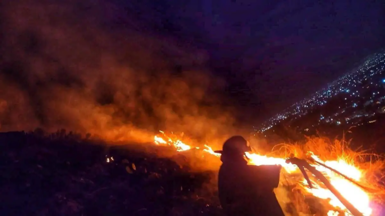 De acuerdo con la Comisión Nacional Forestal (Conafor), en lo que va de 2025 la entidad ha registrado un total 572 incendios.