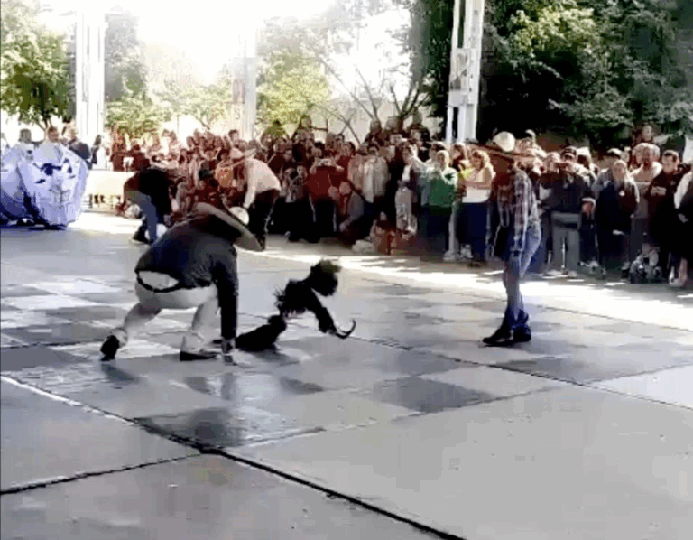 La pelea de gallos se realizó en la primaria Frida Kahlo del municipio hidalguense de Mineral de la Reforma, como parte de diversas actividades folclóricas.