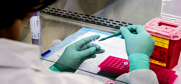 Un equipo de investigación del Cima Universidad de Navarra y el Centro de Investigación Biomédica en Red (CIBER), en colaboración con la biofarmacéutica Moderna Therapeutics, ha desarrollado una estrategia terapéutica experimental basada en ARN mensajeros (ARNm) para el tratamiento de la pancreatitis aguda, una enfermedad sin opciones terapéuticas específicas más allá del control de los síntomas.