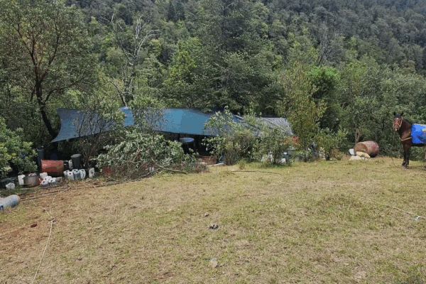 En el lugar de los hechos los elementos de seguridad resguardaron un predio rodeado de vegetación donde se encontraron diversos bidones de plástico, sacos industriales, tambos y contenedores metálicos.