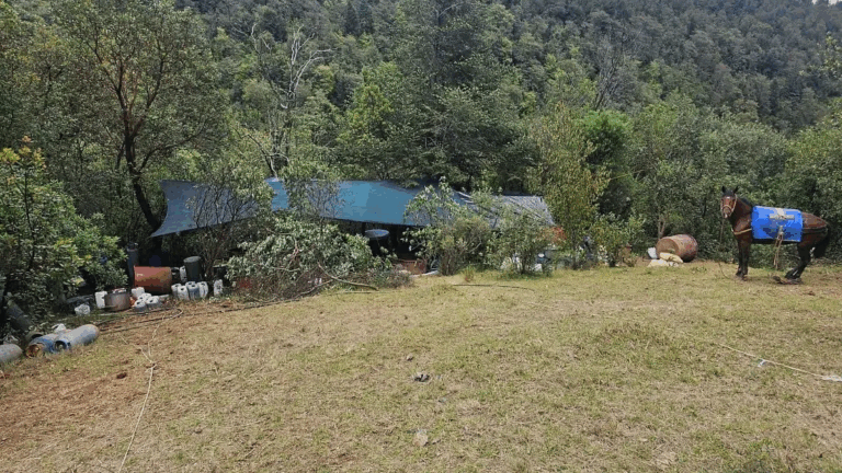 En el lugar de los hechos los elementos de seguridad resguardaron un predio rodeado de vegetación donde se encontraron diversos bidones de plástico, sacos industriales, tambos y contenedores metálicos.