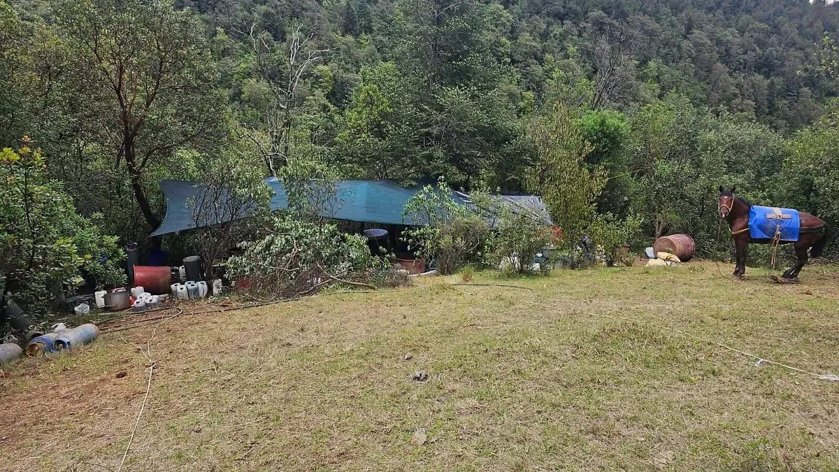 En el lugar de los hechos los elementos de seguridad resguardaron un predio rodeado de vegetación donde se encontraron diversos bidones de plástico, sacos industriales, tambos y contenedores metálicos.