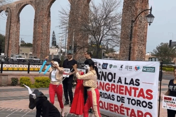 Protestan en contra de corridas de toros en Querétaro Integrantes de organizaciones civiles durante la protesta.