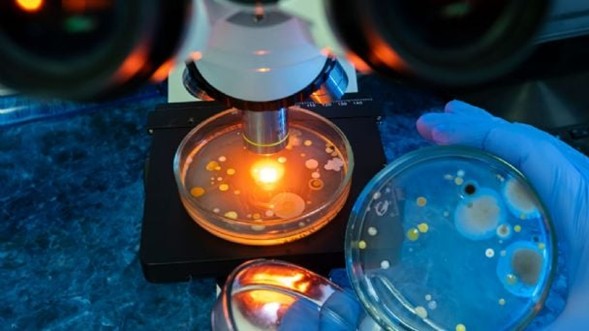 El término "bacteria come carne" describe de forma popular una infección rara pero grave conocida como fascitis necrosante. 