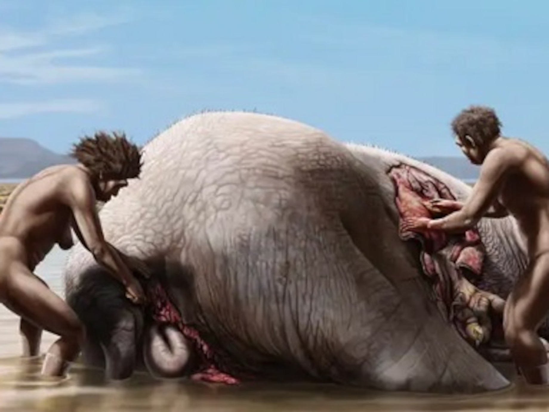 Los homínidos comenzaron a consumir plantas herbáceas antes de tener la dentadura ideal para ello, según un estudio que proporciona la primera evidencia del registro fósil sobre el impulso conductual.