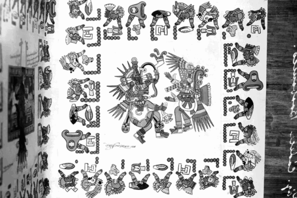 Emilia Mendoza, activista y artesana originaria de Ixmiquilpan, Hidalgo y quien es la principal promotora de la devolución del Códice Borbónico, el cual se encuentra en la Biblioteca de la Asamblea Nacional de Francia, informó que un diputado de ese país visitará la Ciudad de México para impulsar el retorno de ese documento.