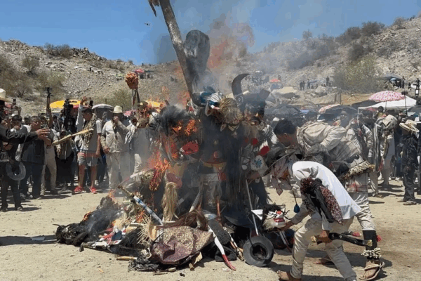 Al pueblo Yaqui se le han restituido 45 mil hectáreas de tierra; más de 5 mil al pueblo Wixárika y dos mil a la comunidad Tarahumara.