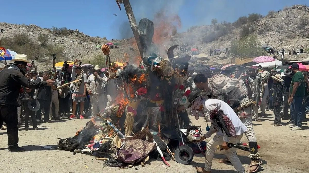 Al pueblo Yaqui se le han restituido 45 mil hectáreas de tierra; más de 5 mil al pueblo Wixárika y dos mil a la comunidad Tarahumara.