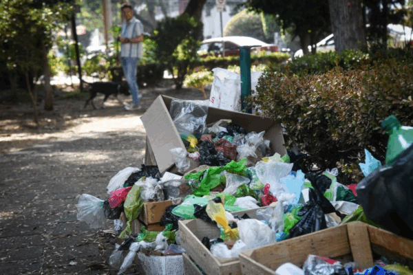 También se ha retirado basura de los drenes General del Valle de México, Chimalhuacán I y II y General del Valle de México; los túneles Emisor Oriente, Río de la Compañía e Interceptor Río de los Remedios, así como los ríos San Francisco, San Rafael y de la Compañía, y el Canal General.