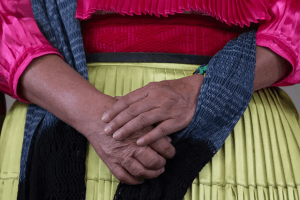 Vicenta Sánchez, gobernadora Indígena del Estado de México, expresó la necesidad de vivienda, salud y educación digna para pueblos originarios.