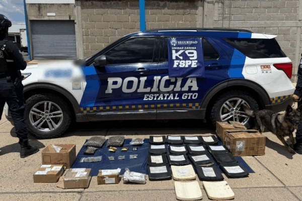 Los paquetes de distintos remitentes serían enviados a las ciudades de León, Irapuato, Pénjamo, Dolores Hidalgo, Guadalajara, Morelia, Aguascalientes y Ciudad de México, detalló.