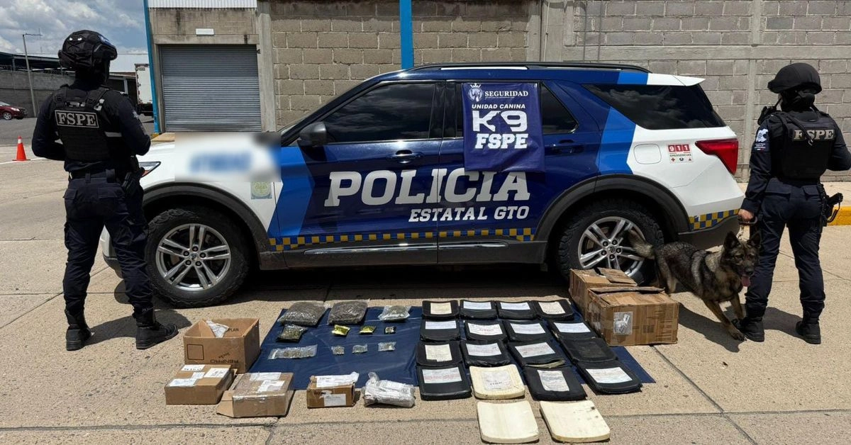 Los paquetes de distintos remitentes serían enviados a las ciudades de León, Irapuato, Pénjamo, Dolores Hidalgo, Guadalajara, Morelia, Aguascalientes y Ciudad de México, detalló.