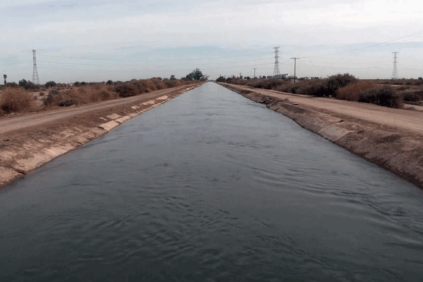Este distrito, que corre por todo el Valle de Mexicali y se extiende hasta San Luis Río Colorado, en Sonora, es el único que no firmó el Plan Hídrico Nacional propuesto por el gobierno federal para reordenar en todo el país las concesiones de agua.