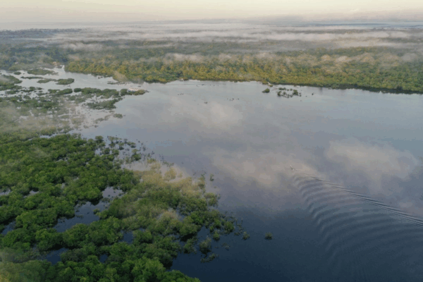 Las sequías han marchitado cultivos en Perú, los incendios han arrasado con el Amazonas y las represas hidroeléctricas en Ecuador batallan para generar electricidad porque los ríos se secan.