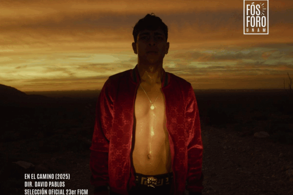 Con una selección ecléctica de películas y cortos a proyectar -para crear nuevos públicos-; un premio al cortometraje universitario; talleres formativos para jóvenes creadores; la participación de la industria local y la presencia del director David Pablos como plato fuerte, Tijuana se prepara para su primer Festival de Cine, del 6 al 9 de noviembre próximo.