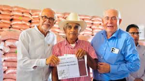 Este esquema de apoyo se construyó en coordinación con el gobierno federal, que cubre el 50 % del costo, mientras que el estado aporta un 35 %, dejando solo el 15 % a cargo de los productores.