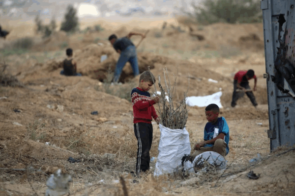 Los niños palestinos forman parte de la fuerza de trabajo que reconstruye la ciudad de Gaza.