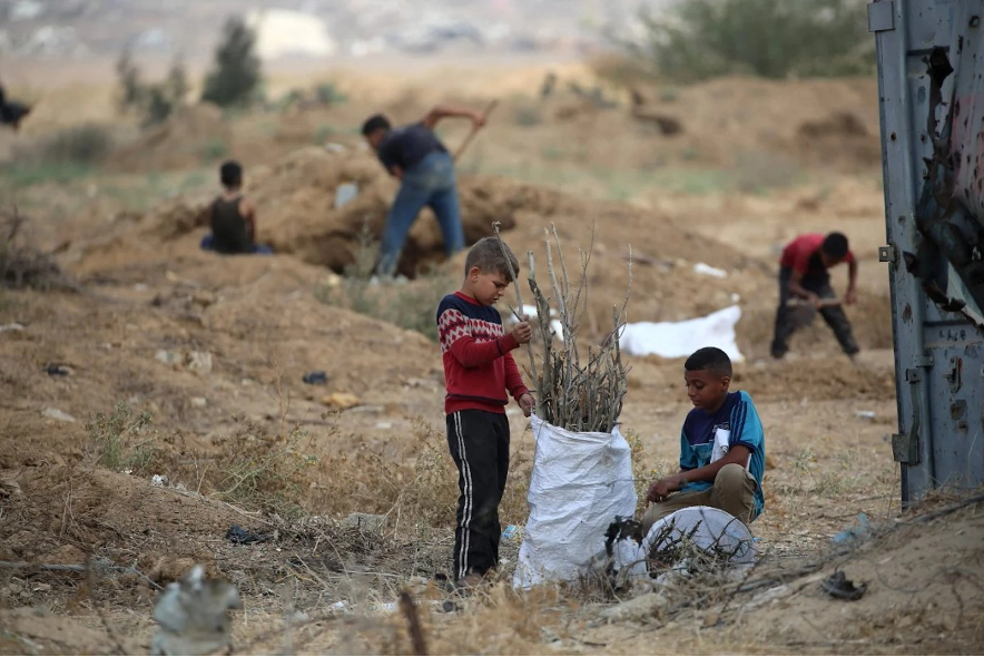 Los niños palestinos forman parte de la fuerza de trabajo que reconstruye la ciudad de Gaza.